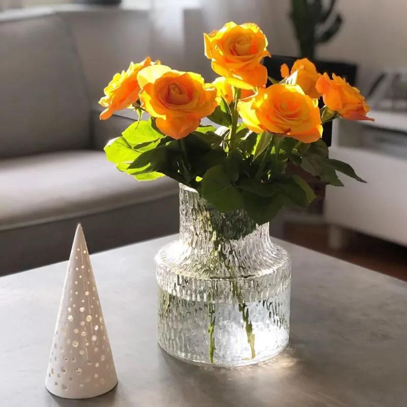 Glass Vase Glacier Texture Flower Vase Transparent Hydroponic Vase Living Room Decoration Terrarium Creative Home Decor - Provence Home Living Store